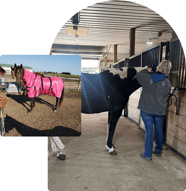 Two horses indoors with a person attending to one of them.