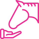 Pink outline of horse and hand