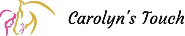 Logo with the word 'Carolyn' in elegant cursive font.