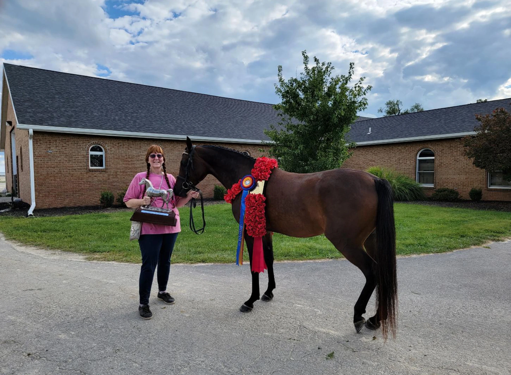 Horse with colorful ribbons